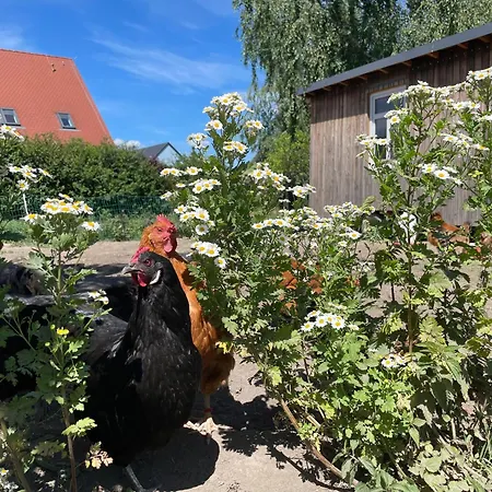Ferienwohnung Gutshof Doberschau Exterior foto